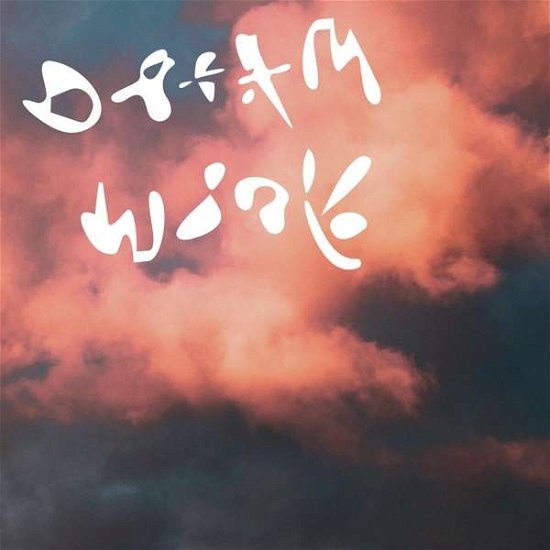 Cover for Dinner · Dream Work (LP) (2021)