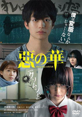 Cover for Ito Kentaro · Aku No Hana (MDVD) [Japan Import edition] (2020)