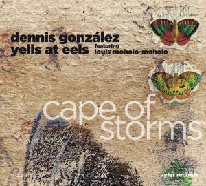 Cover for Dennis Gonzalez · Cape of Storms (CD) (2011)