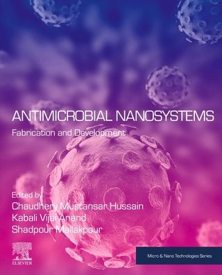 Cover for Antimicrobial Nanosystems: Fabrication and Development - Micro &amp; Nano Technologies (Paperback Book) (2023)