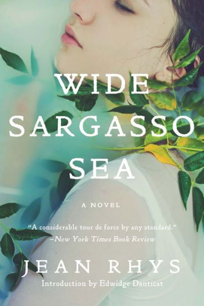Cover for Jean Rhys · Wide Sargasso Sea (Paperback Book) (2016)