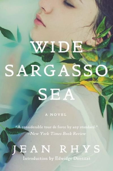 Cover for Jean Rhys · Wide Sargasso Sea (Paperback Book) (2016)