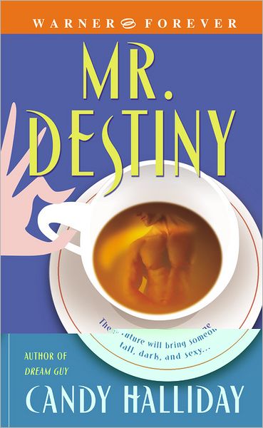 Cover for Candy Halliday · Mr Destiny (Paperback Book) (2005)