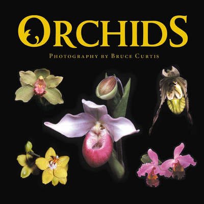 Cover for Orchids (Bog)