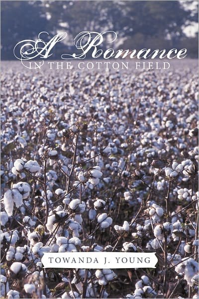 Cover for Towanda J Young · A Romance in the Cotton Field (Paperback Book) (2011)