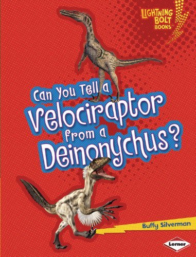 Can You Tell a Velociraptor from a Deinonychus? (Lightning Bolt Books - Dinosaur Look-alikes) - Buffy Silverman - Livros - 21st Century - 9781467713566 - 1 de agosto de 2013