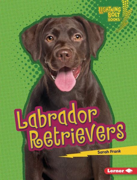 Labrador Retrievers - Sarah Frank - Books - Lerner Publishing Group - 9781541538566 - 2019