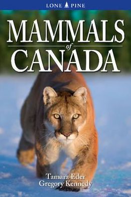 Cover for Tamara Eder · Mammals of Canada (Paperback Book) (2023)