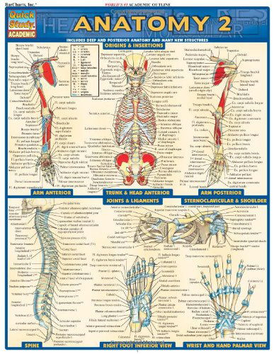 Cover for Vincent Perez · Anatomy 2 - Reference Guide (Map) [1 Lam Crds edition] (2004)