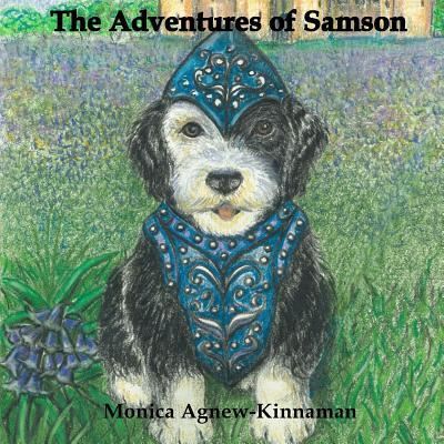 Cover for Monica Agnew-kinnaman · The Adventures of Samson (Paperback Bog) (2018)