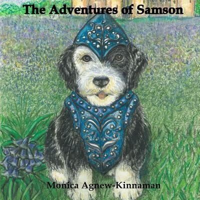 The Adventures of Samson - Monica Agnew-kinnaman - Böcker - Createspace Independent Publishing Platf - 9781717184566 - 4 maj 2018
