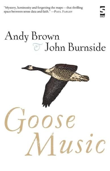 Cover for Andy Brown · Goose Music - Salt Modern Poets (Pocketbok) (2011)