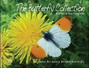 Cover for Richard Harrington · The Butterfly Collection (Inbunden Bok) (2018)