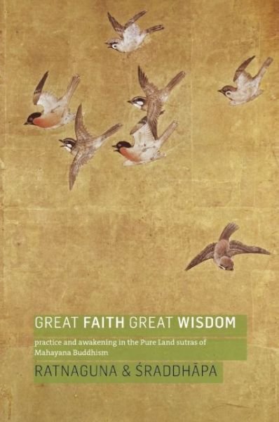 Cover for Ratnaguna Hennessey · Great Faith, Great Wisdom: Practice and Awakening in the Pure Land Sutras of Mahayana Buddhism (Paperback Book) (2016)