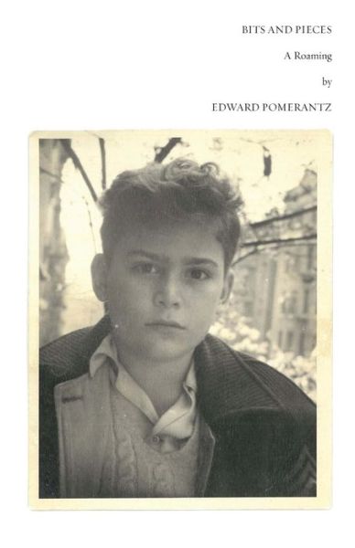 Bits and Pieces - Edward Pomerantz - Livros - Yehuda Press, Ben - 9781953829566 - 14 de novembro de 2023
