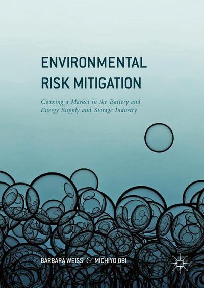 Cover for Barbara Weiss · Environmental Risk Mitigation: Coaxing a Market in the Battery and Energy Supply and Storage Industry (Hardcover Book) [1st ed. 2016 edition] (2016)