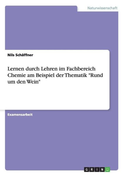 Cover for Schäffner · Lernen durch Lehren im Fachbe (Book) [German edition] (2013)