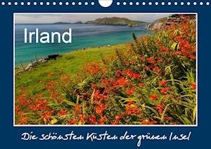 Cover for Böhme · IRLAND - die schönsten Küsten (Wa (Bok)