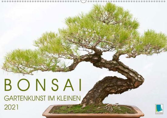 Cover for Bonsai · Gartenkunst im Kleinen (Wandkal (Book)