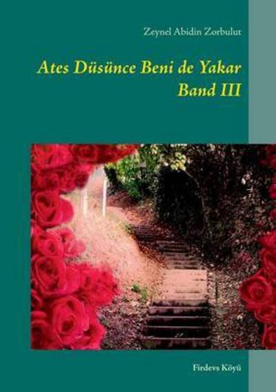 Cover for Zeynel Abidin Zorbulut · Halici Mahmud Usta Band III: Vuslat (Paperback Book) (2016)