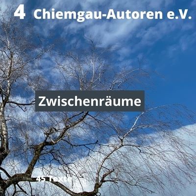 Cover for Chiemgau-Autoren E V Traunstein · Zwischenraume (Paperback Book) (2021)