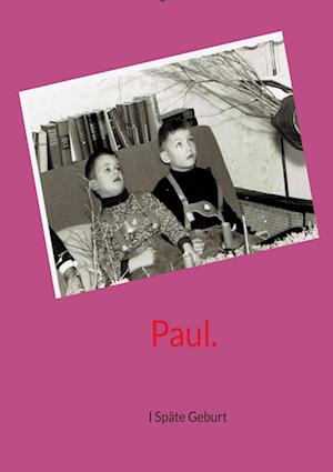 Cover for Eligius Lohstein · Paul. (Book) (2024)