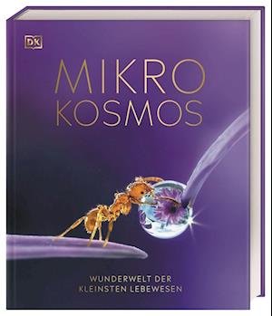Cover for Derek Harvey · Mikrokosmos - Wunderwelt der kleinsten Lebewesen (Bok) (2022)