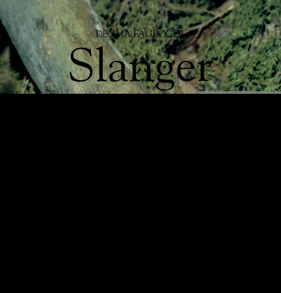 Cover for Bent Faurby · De små fagbøger: Slanger (Heftet bok) [1. utgave] (2000)