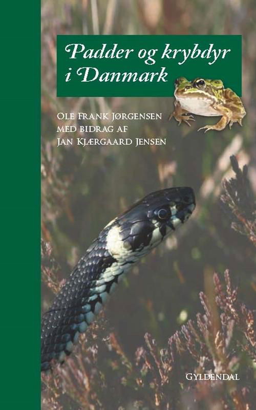 Cover for Ole Frank Jørgensen · Padder og krybdyr i Danmark (Bound Book) [1.º edición] [Indbundet] (2015)