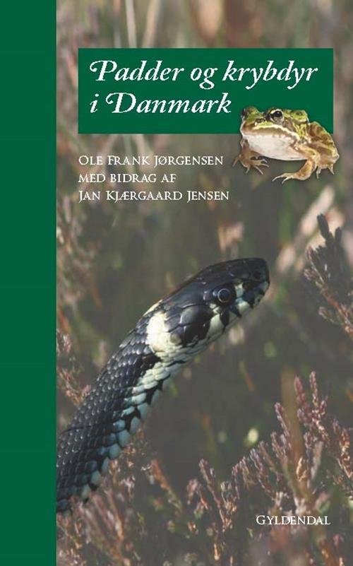 Cover for Ole Frank Jørgensen · Padder og krybdyr i Danmark (Inbunden Bok) [1:a utgåva] [Indbundet] (2015)
