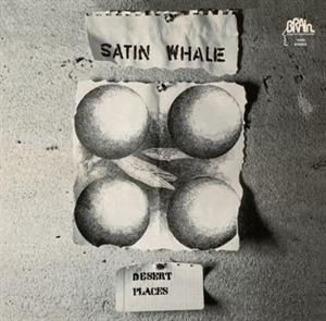 Cover for Satin Whale · Desert Places (LP) (2024)