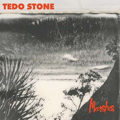 Cover for Tedo Stone · Marshes (CD) [Digipak] (2015)