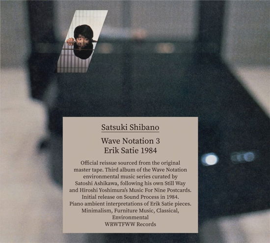Wave Notation 3: Erik Satie 1984 - Satsuki Shibano - Música - WRWTFWW - 4251804141567 - 28 de julho de 2023