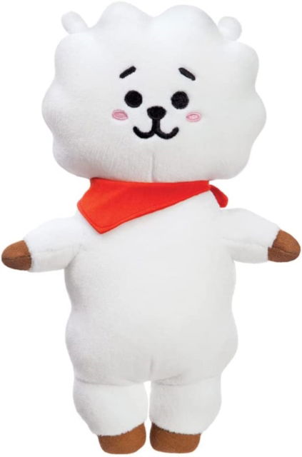 Cover for Bt21 · BT21 RJ Plush Sm (MERCH) (2023)