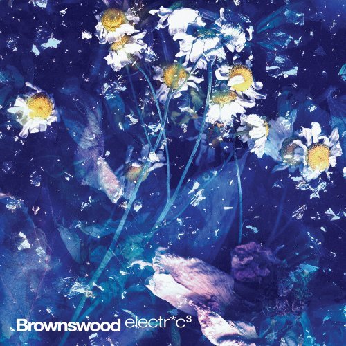 Cover for Various Artists · Brownswood Electr*C 3 (CD) (2012)
