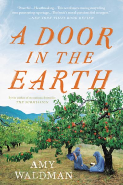 Cover for Amy Waldman · A Door in the Earth (Pocketbok) (2020)