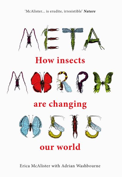 Cover for Erica McAlister · Metamorphosis: How insects are changing our world (Gebundenes Buch) (2024)