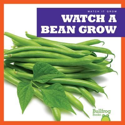 Cover for Kirsten Chang · Watch a Bean Grow (Paperback Book) (2019)