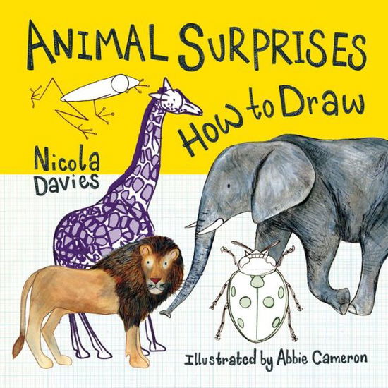 Cover for Nicola Davies · How to Draw: Animal Surprises (Paperback Book) (2017)