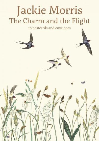 Cover for The Charm and the Flight Postcard Pack (Bog) (2018)