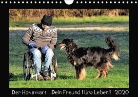 Cover for Siebert · Der Hovawart... Dein Freund für (Book)