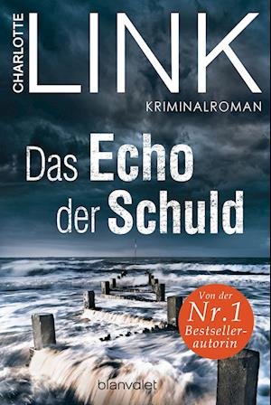 Cover for Charlotte Link · Das Echo der Schuld (Book) (2024)