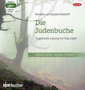 Cover for Droste-Hülshoff · Die Judenbuche,CD (Book)
