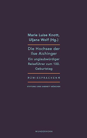 Cover for Marie Luise Knott · Die Hochsee der Ilse Aichinger (Paperback Book) (2021)