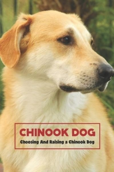 Cover for Gosnell Mollie · Chinook Dog: Choosing And Raising a Chinook Dog (Pocketbok) (2022)