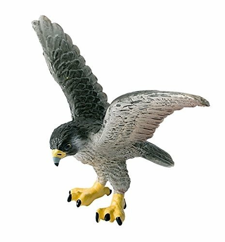 Cover for Bullyland · Bullyland: World Of Birds - Peregrine Falcon (Toys) (2015)