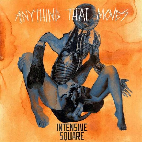 Cover for Intensive Square · Anything That Moves (LP) (2019)
