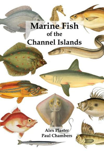 Marine Fish of the Channel Islands - Paul Chambers - Livres - Charonia Media - 9780956065568 - 5 novembre 2018