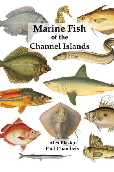 Cover for Paul Chambers · Marine Fish of the Channel Islands (Paperback Bog) (2018)