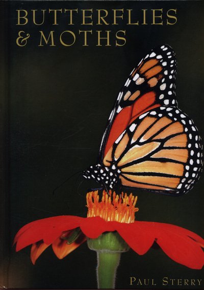 Cover for Paul Sterry · Butterflies &amp; Moths - Exploring Nature (Inbunden Bok) (2018)
